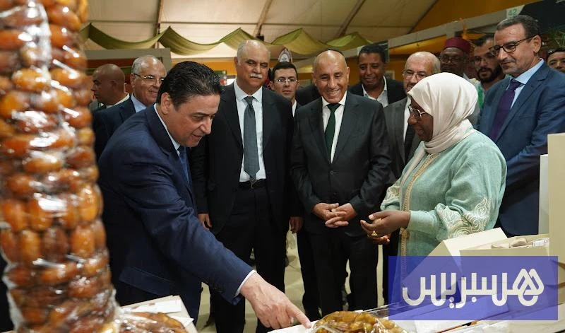 المغرب يترقب إنتاج 172 ألف طن من التمور وسط مخاوف من إغراق السوق بالواردات
